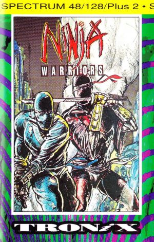Ninja Warriors Again, The ROM